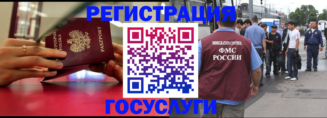 прописка поиск в Новосибирской области
