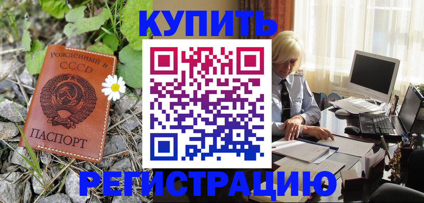временная регистрация поиск в Новосибирской области